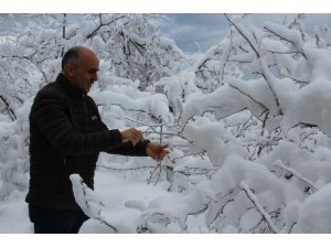 Kar fındık üreticisinin yüzünü güldürdü