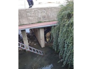 İzmir’de dereye düşen yaşlı adamı itfaiye kurtardı