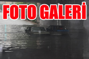 KONYA SELE TESLİM OLDU