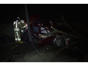 Sürücüsünün hakimiyetini kaybettiği otomobil önce ağaca çarptı