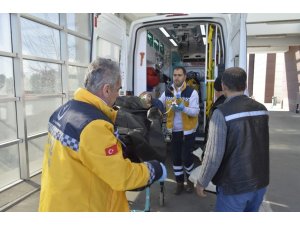 Karbonmonoksit gazından 4 kişilik aile hastanelik oldu