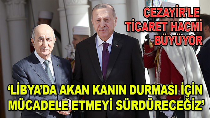 Cumhurbaşkanı Erdoğan: Libya'da akan kanın durması için mücadele etmeyi sürdüreceğiz