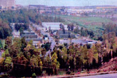 Vurabilirler, vuracaklar, vurdular!