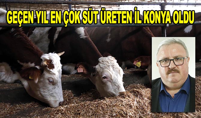 Geçen yıl en çok süt üreten il Konya oldu