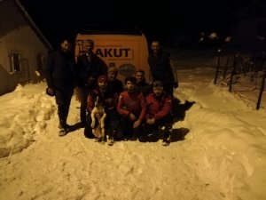 Buz tutmuş derede mahsur kalan köpeği AKUT kurtardı