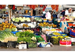 Muğla 4 ürünün üretiminde Türkiye lideri