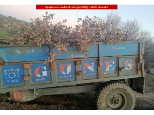 Uyuşturucuyu kestikleri ağaç dallarının arasına saklamışlar