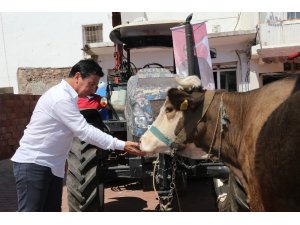 Bodrum’da alım garantili üretim için ilk adım atıldı