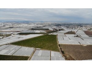 Mersin’de selin bilançosu ağır oldu