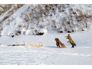 Van ve Bitlis'te soğuk hava etkisini sürdürüyor