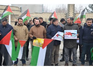 Van ve Muş'ta ABD'nin sözde Ortadoğu Barış Planı protesto edildi