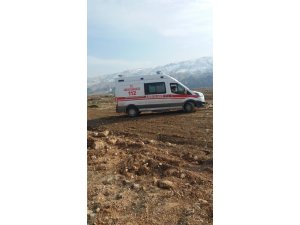Köpek 11 yaşındaki çocuğa saldırıp ısırdı
