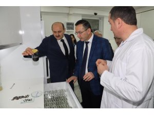 ODÜ-Ordu Arıcılık Araştırma Enstitüsü iş birliği