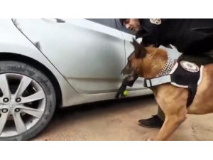Narkotik köpeğinden kaçamayan otomobilin yakıt deposundan esrar fışkırdı