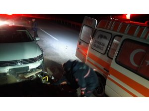 Aniden yola çıkan domuza otomobil çarptı