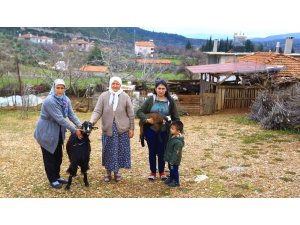 Kadınlara kıl keçisi desteklemesi meyvesini veriyor