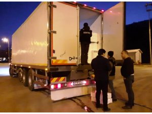 3 ilde 1,5 ton balığa el koyuldu