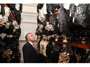 KKDP desteklemeleri meyvesini vermeye devam ediyor