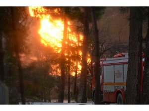 Ordu’daki doğal gaz patlaması
