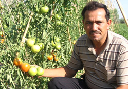 Yerli malı yerde kaldı