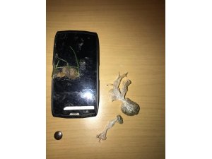 Üzerinde uyuşturucu çıkan şahıs, bekçiyi darp edip kaçtı