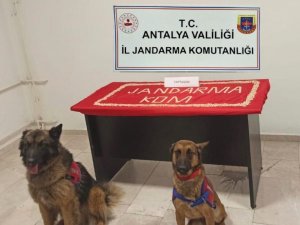 Yüklü miktarda uyuşturucuyu toprağa gömerek saklamışlar