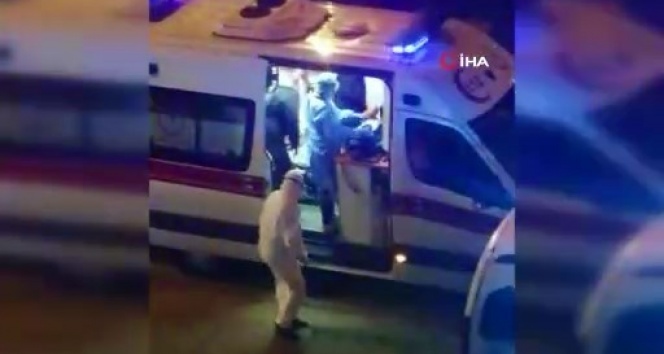 Trabzon'da 'Korona' virüsü alarmı