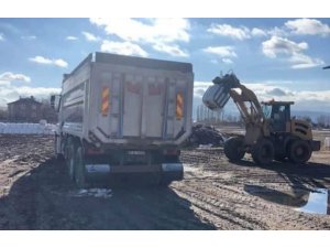 Tarımın yükselen yıldızı Aslanapa’da silajlık mısır tüm Türkiye’ye satılıyor