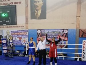 Vanlı boksörlerden büyük başarı