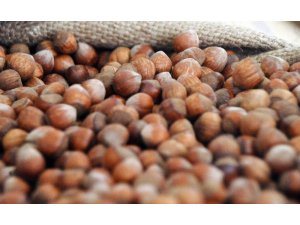 TMO’nun elindeki fındıklar tartışması