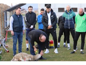 Menemenspor kötü gidişat için kurban kesti