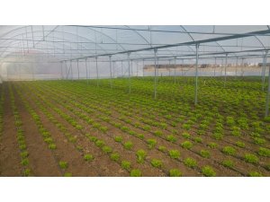 Kütahya’da 74 projeye 8 milyon TL hibe desteği