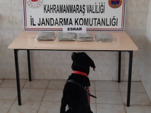 Yolcu otobüsünde uyuşturucu sevkiyatı jandarmaya takıldı