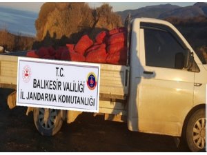 Bandırma’da bin 600 kilo kaçak midye yakalandı
