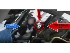 Durak faresi kameralara yakalandı