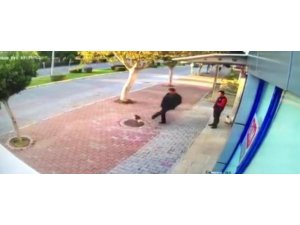 Mama bırakılmasına tepki gösterip kedileri tekmeleyen şüpheli serbest bırakıldı