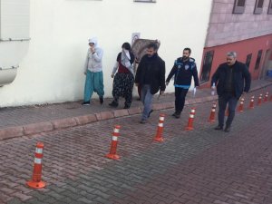 Ev fareleri yakalandı