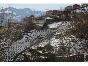Ordu'da heyelan nedeniyle boşaltılan konutlarda oturum devam edecek