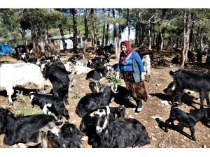 Mersin'deki Yörüklerin depremzedeler için yaptığı yardımlar bölgeye gönderildi