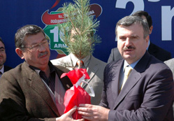 Konyalılar yeşile koştu
