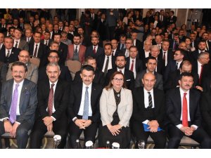 Bakan Pekcan’dan Gümrük Birliği Anlaşması açıklaması