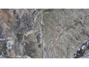 Kayalıklarda mahsur kalan keçileri AFAD ekipleri kurtardı