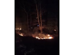 Kopan kablolar çalılığı tutuşturdu
