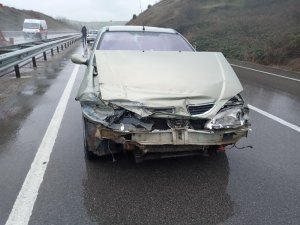 Yola fırlayan köpekler kazaya sebep oldu