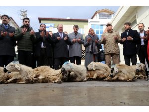 Sivas ve Yozgat'ta ülkede yaşanan olumsuzluklara karşı mevlit okutuldu, kurban kesildi