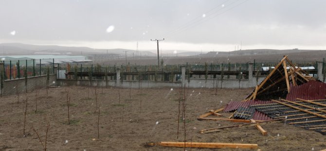 Ankara'da etkili olan rüzgar Patiliköy'de zarara yol açtı