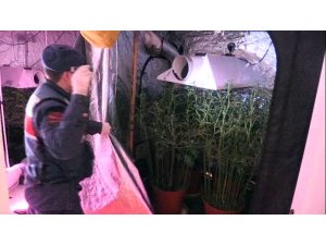 Lüks villa uyuşturucu serasına dönüştürülmüş