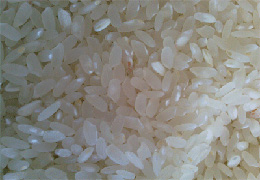 Beyaz pirinç diyabeti artırıyor