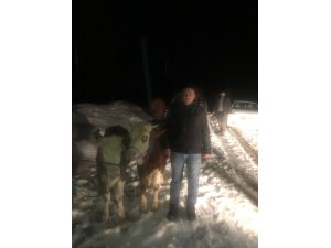 Suşehri’nde çalınan hayvanlar 3 gün sonra bulundu