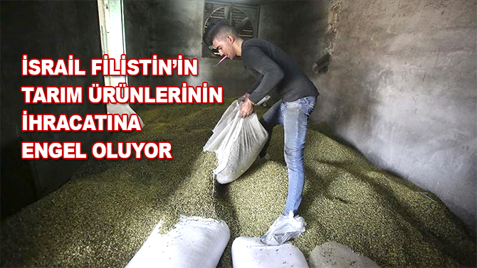 İsrail Filistin'in tarım ürünlerinin ihracatına engel oluyor